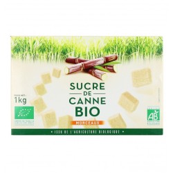 SUCRE de canne en morceaux