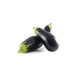 Aubergine ES