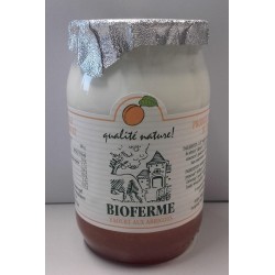 Yaourt Abricot 150g