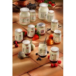 Yaourt Nature MAIGRE 500g