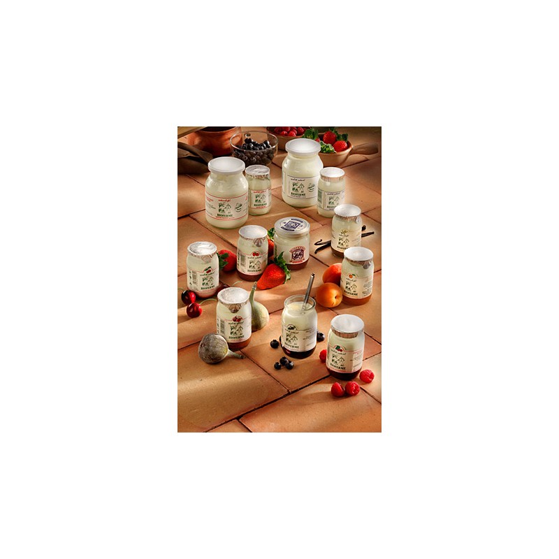 Yaourt Nature MAIGRE 500g