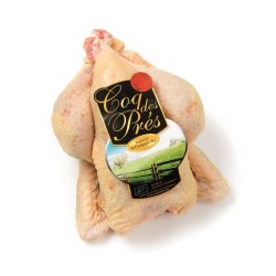 CDP001 Poulet Entier sous barquette filmée