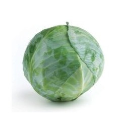 Chou Blanc au Kg BE