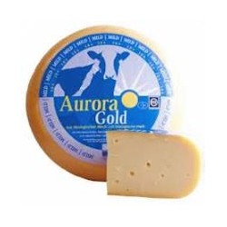 Gouda Vache Jeune