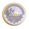 Gouda Brebis Jeune