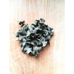 F110 VRAC Pâte Trecce aux Orties VEGAN