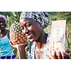 Indisponible - Ananas Seché en 2 kg Rondelles
