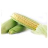 Maïs sous vide 2 Epis FR