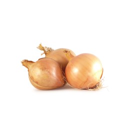 Oignon Jaune BE