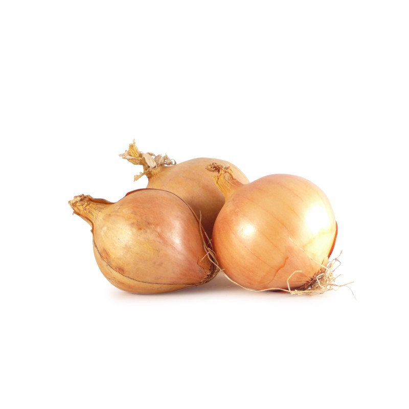 Oignon Jaune BE