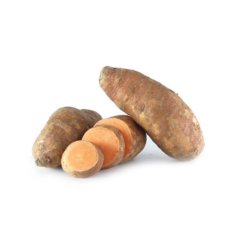 Patate Douce BE