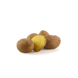 PDT Frites gros calibre BE