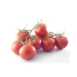 Tomate Grappe IT