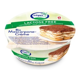 Mascarpone Sans Lactose 250g