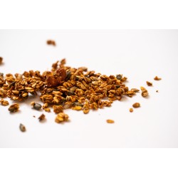IJLB -S Granola Salé VRAC