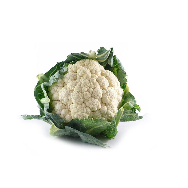 Chou-Fleur 8pc BE