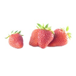 Fraise ravier de 250g TBE