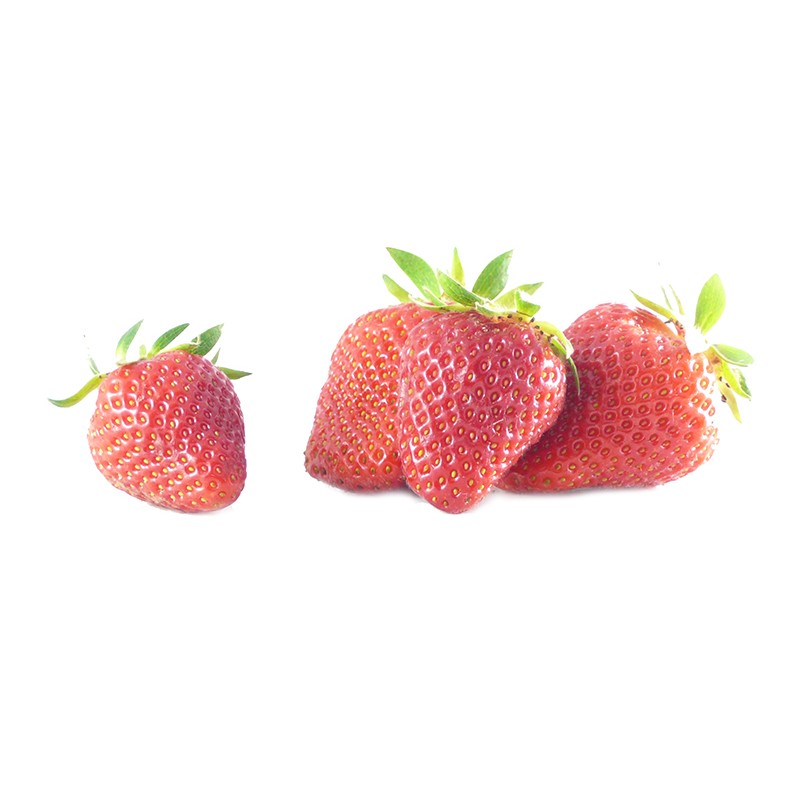 Fraise ravier de 500g BE