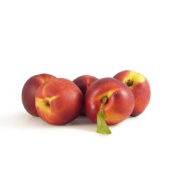 Nectarine Jaune IT