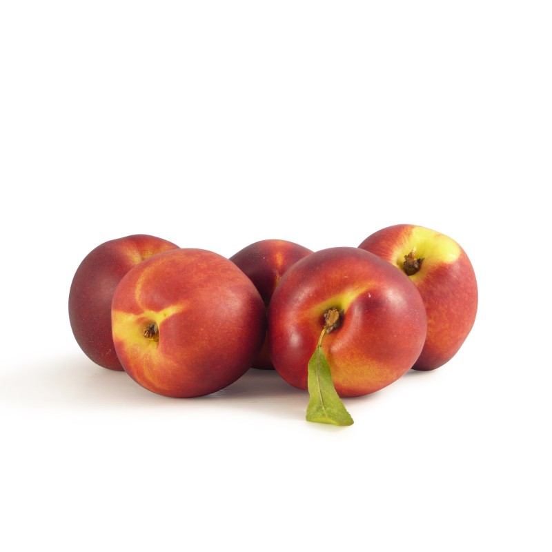 Nectarine Jaune IT