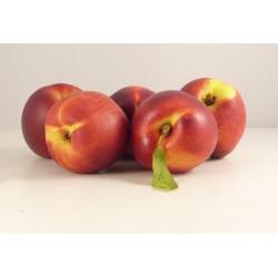 Nectarine Jaune IT