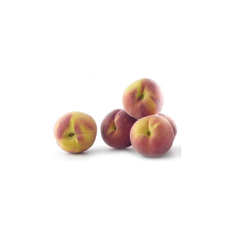 Pêche Jaune ES