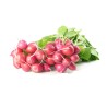 Radis Rouge Botte BE