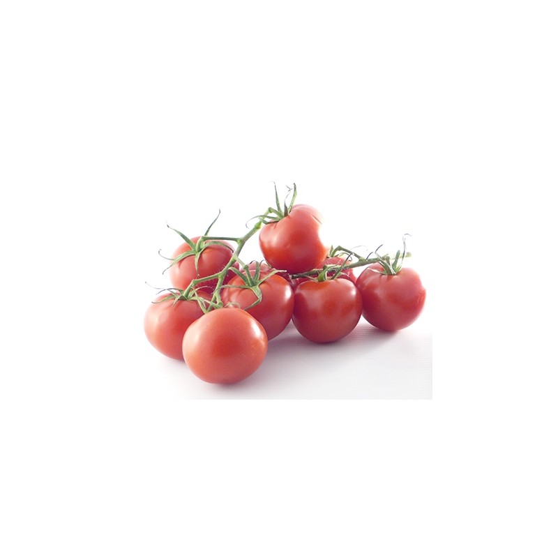 Tomate Grappe BE