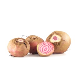 Betterave Chioggia BE