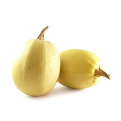 Courge Spaghetti  BE