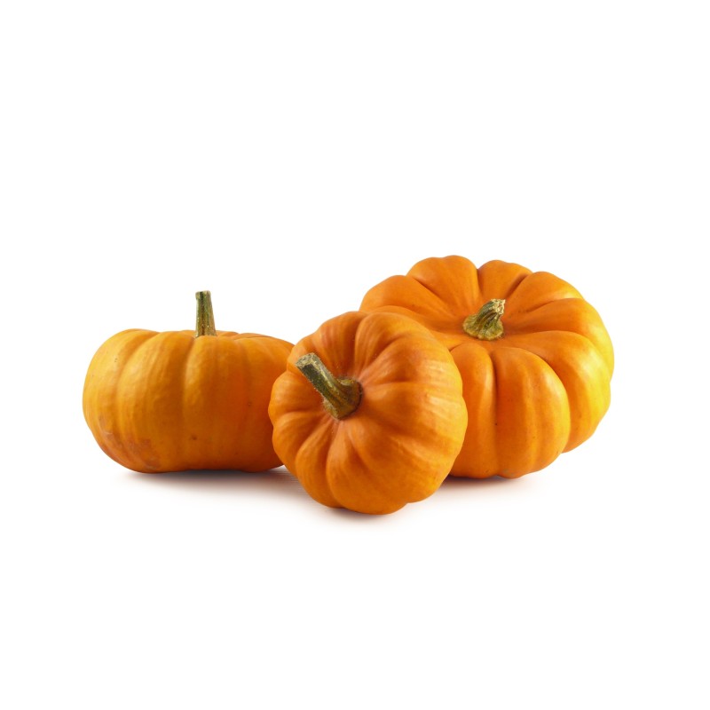 Courge Jack Be Little BE