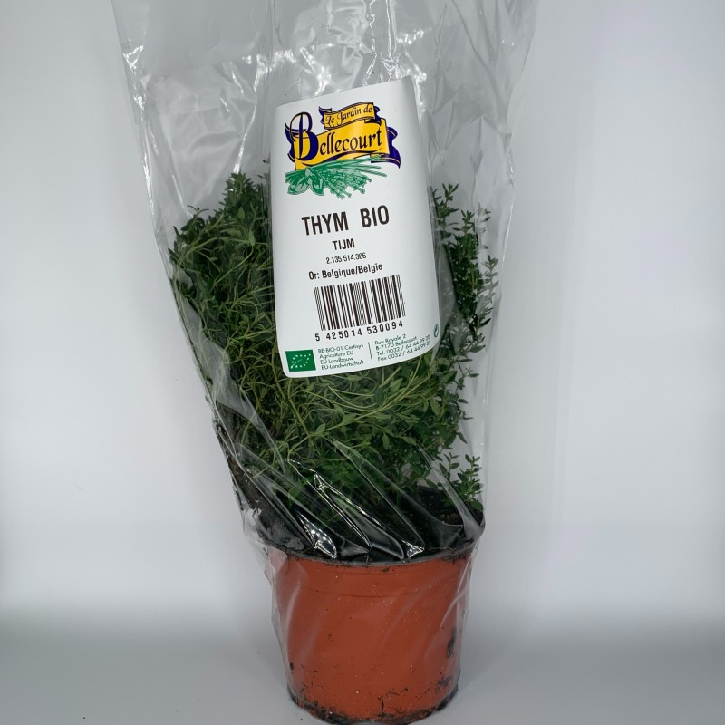 Thym en pot par 3pc
