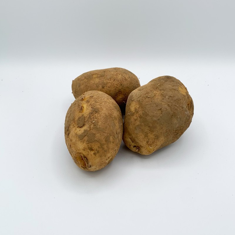 PDT Agria BE sac papier de 2,5Kg