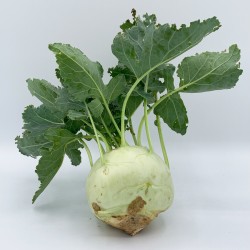 Chou-Rave Vert BE