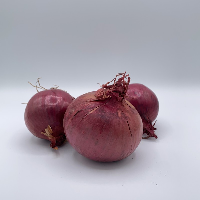 Oignon Rouge BE