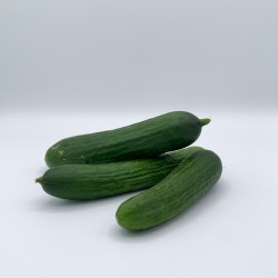 Concombre Mini Snack TBE