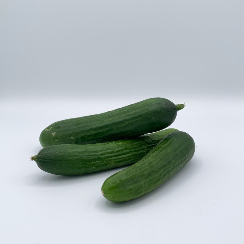 Concombre Mini Snack TBE