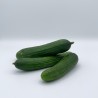 Concombre Mini Snack TBE