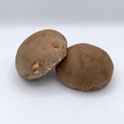Champignon Portobello Vrac TBE