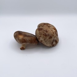 Champignon Shiitake Vrac TBE