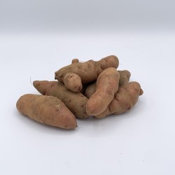 PDT Corne de Gatte BE