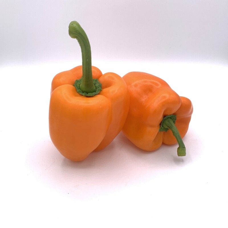 Poivron Orange BE