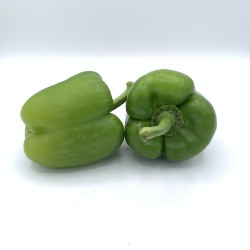 Poivron Vert BE