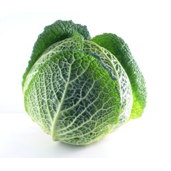 Chou Vert de Savoie 8pc BE