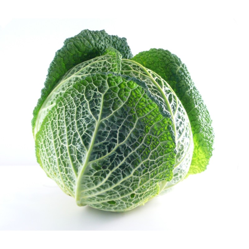 Chou Vert de Savoie 8pc BE