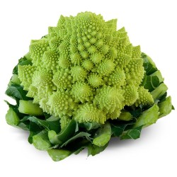 Chou Romanesco FR