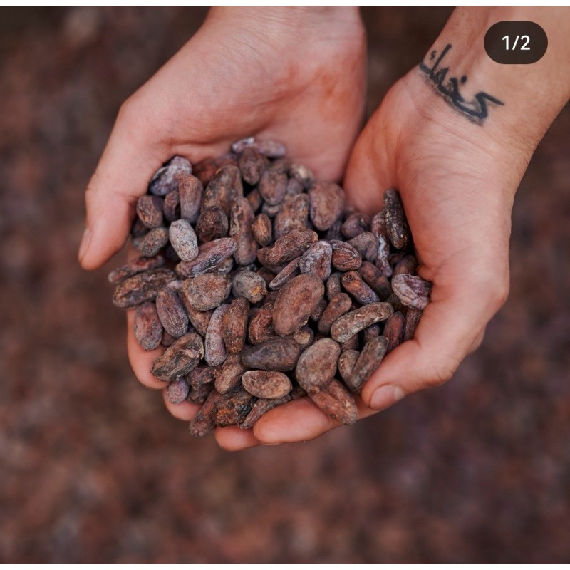 VRAC Nibs - Eclats de cacao torréfié SaoT.