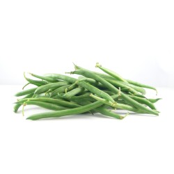 Haricot Vert ES