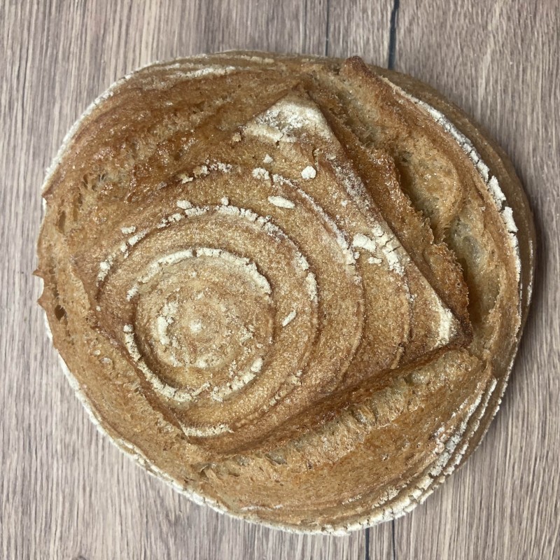 Levain Epeautre 80% 800g