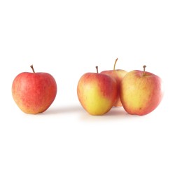 Pomme Pinova de Temploux BE